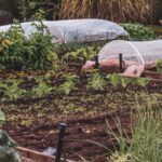 covering raised garden beds step by step