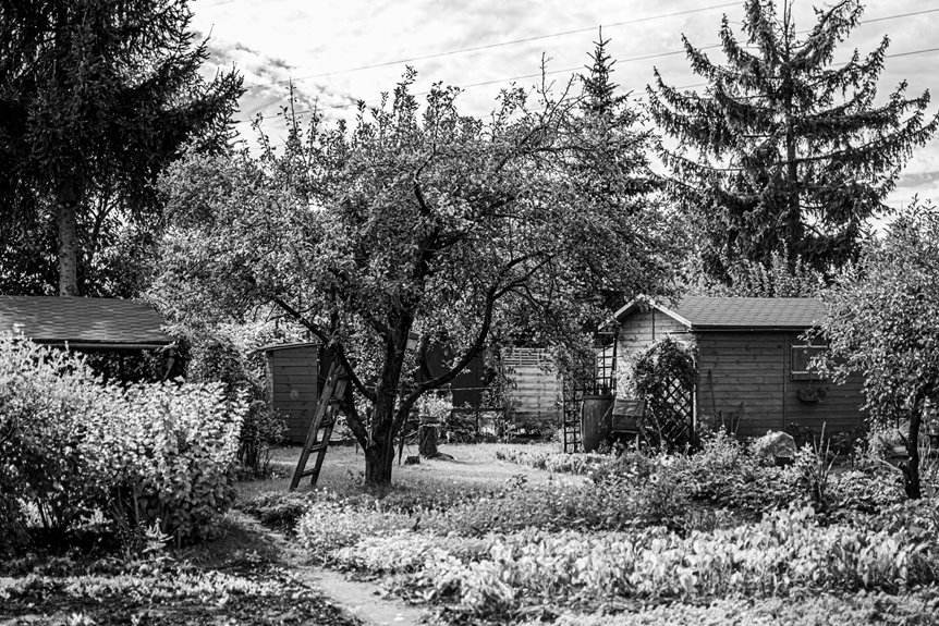 ten garden sheds various prices